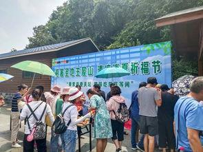 避暑王屋山吃瓜视频,一场吃瓜视频带来的清凉之旅