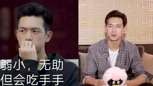 刘些宁吃瓜视频在线观看,揭秘娱乐圈幕后故事