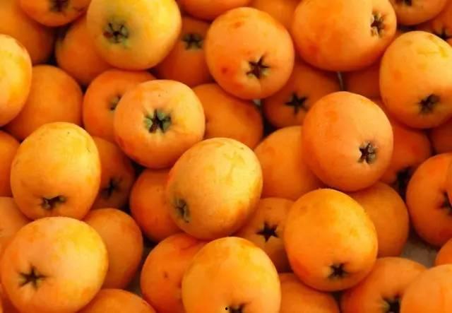 枇杷视频吃瓜网站大全,揭秘热门娱乐资讯平台