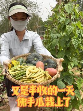 王小九吃田瓜视频大全,田瓜盛宴视频大盘点