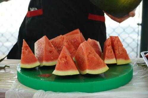 职业学校吃瓜视频,揭秘校园生活趣味瞬间